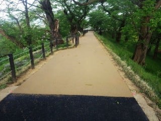 霞城公園園路整備